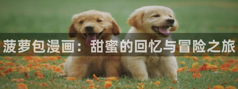虫虫漫画最新